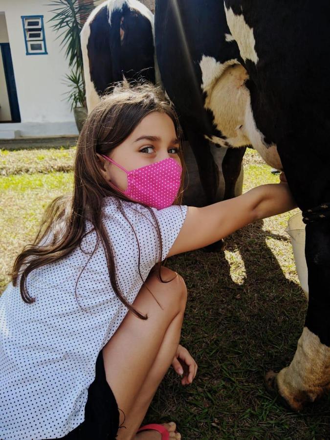 Fazenda Santa Helena Simao Pereira